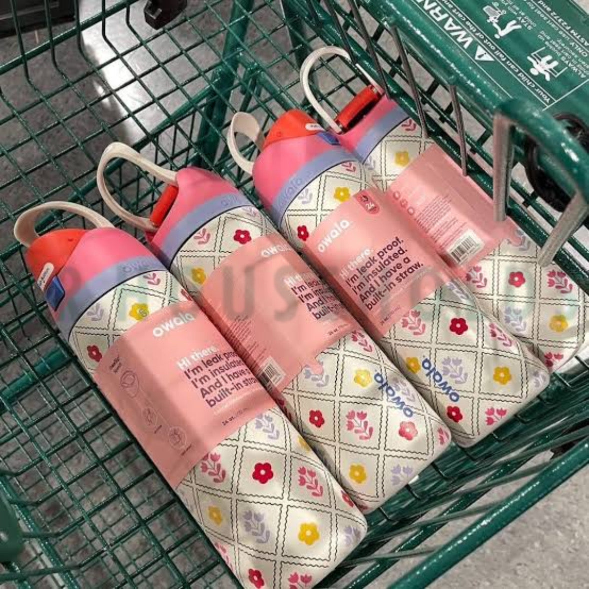 Owala FreeSip® Water Bottle - 24oz | Garden Whimsy