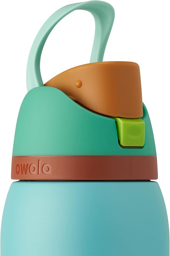 Owala FreeSip® Water Bottle - 32oz | Palm Springs